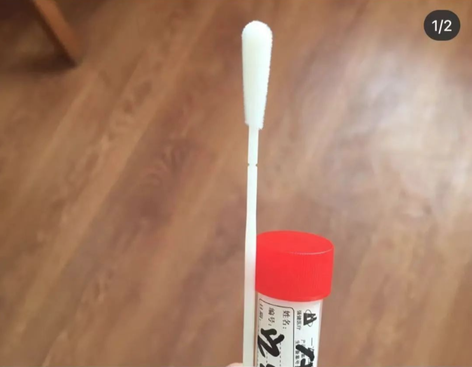 全澳爆发抗议，数百堪培拉人集聚国会大厦；第二批留学生4月返澳；最新回国规定，实施肛拭子，华人述羞人过程； - 32