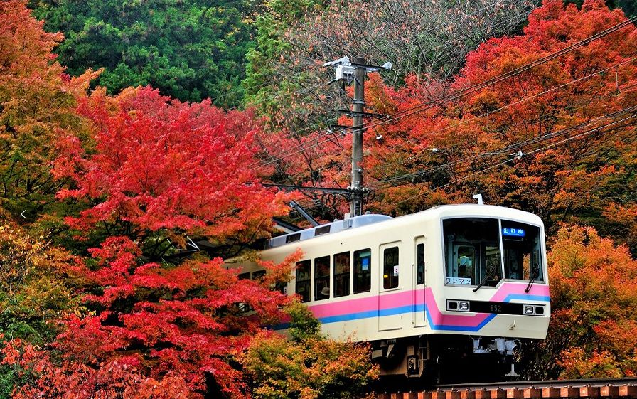 秋遊賞楓，東京大阪附近有什麼楓葉好看人又少的景點？ 旅遊 第16張