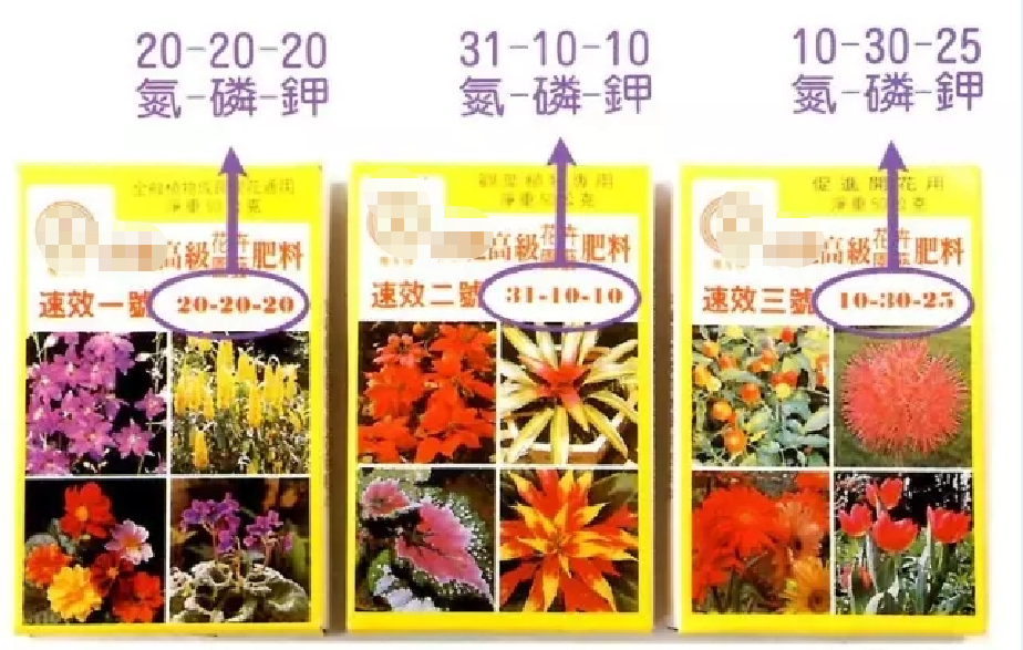 新手施肥別亂用復合肥，緩釋肥可備上，養花煩惱少一半 家居 第11張