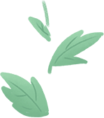 室内虫害滋生的环境 常见害虫处理技巧 附不容易感染虫害的植物 柠檬资讯