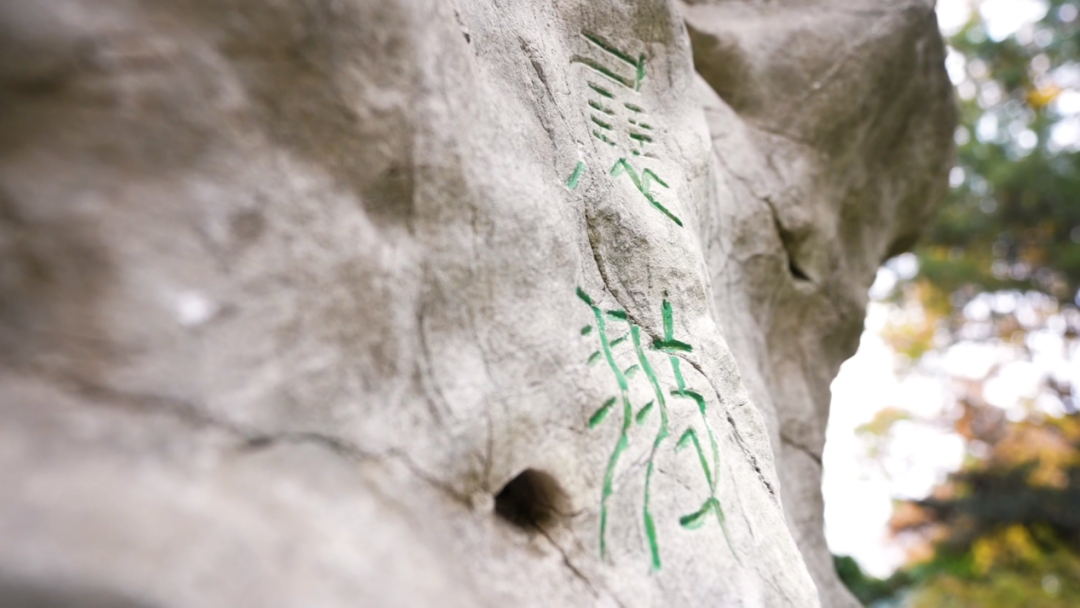藏海寺前,就是"虞山十八景"之一的拂水晴岩.