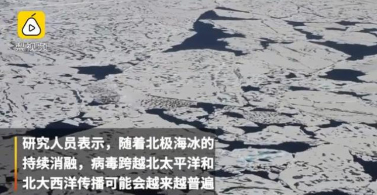 遍地保險套、衛生棉的西藏，背後真相令人感到惡心 旅遊 第27張