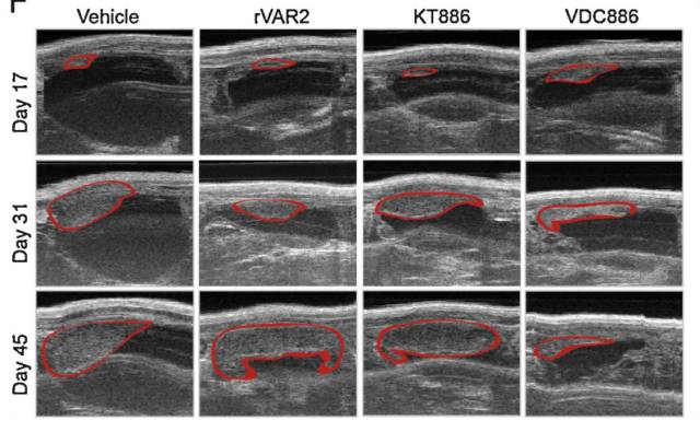 ֣ⷢűԭڵĵ׿ɶԿ100ְϸ