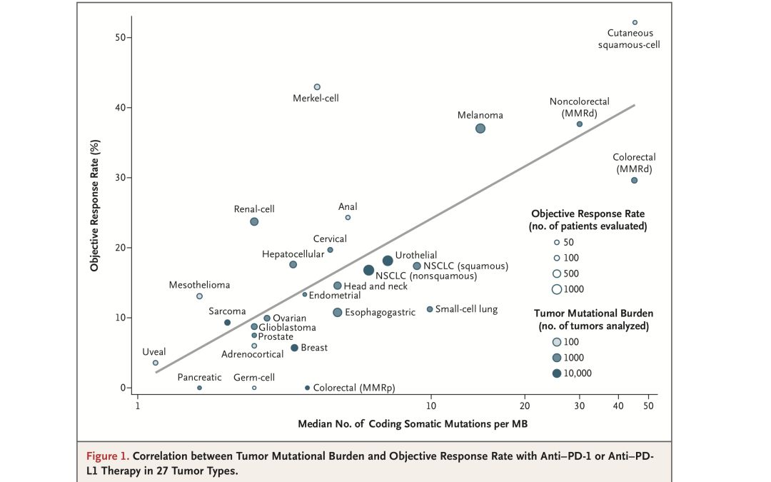 494949最快奖结果今晚