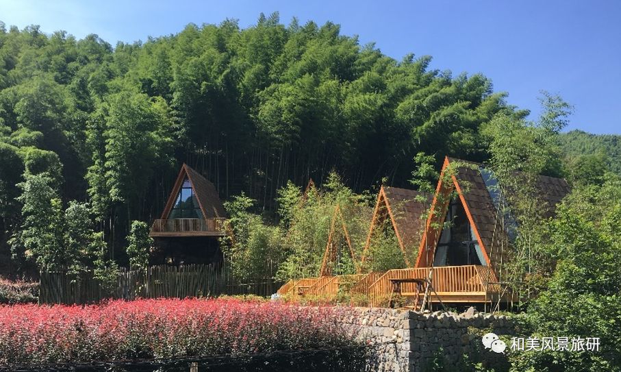 大榆樹(shù)木地板_檫木做地板怎么樣_富林地板天料木