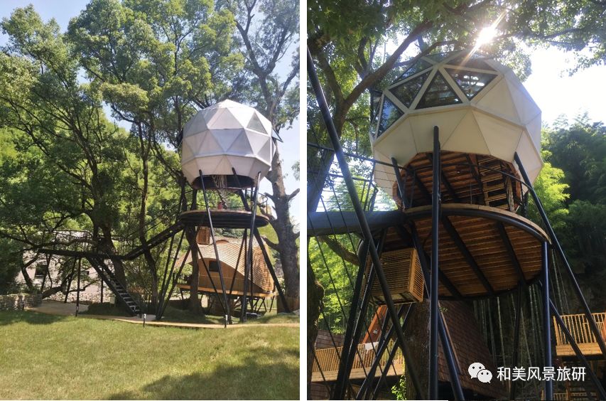 大榆樹(shù)木地板_富林地板天料木_檫木做地板怎么樣
