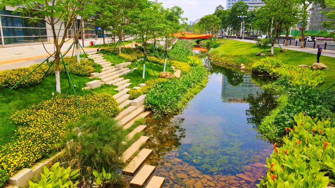 双11大礼包！江景学府盘狂“撒糖”，市*不香吗？