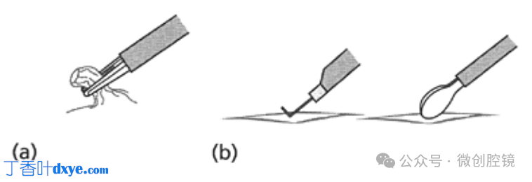 双极电凝是什么腹腔镜电凝技巧_https://www.jmylbn.com_新闻资讯_第3张