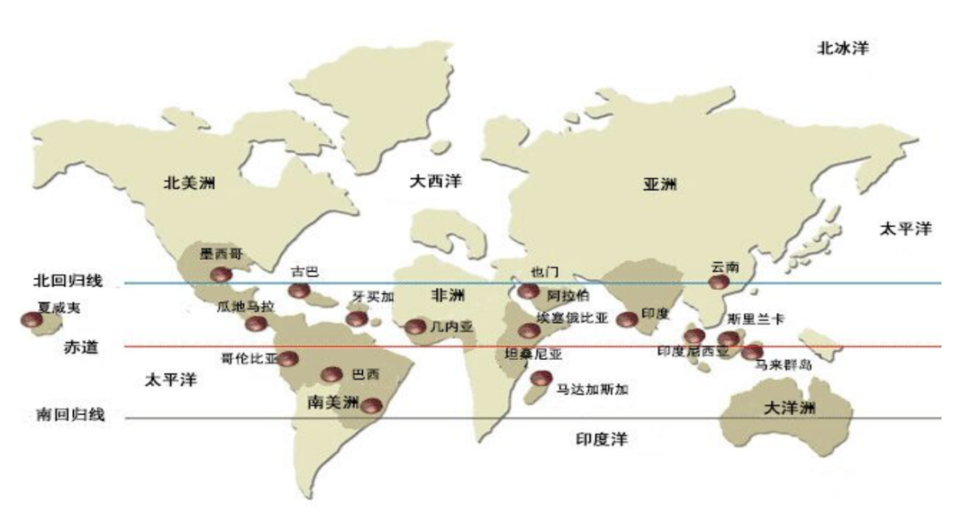 中国咖啡冠军，为什么在云南？