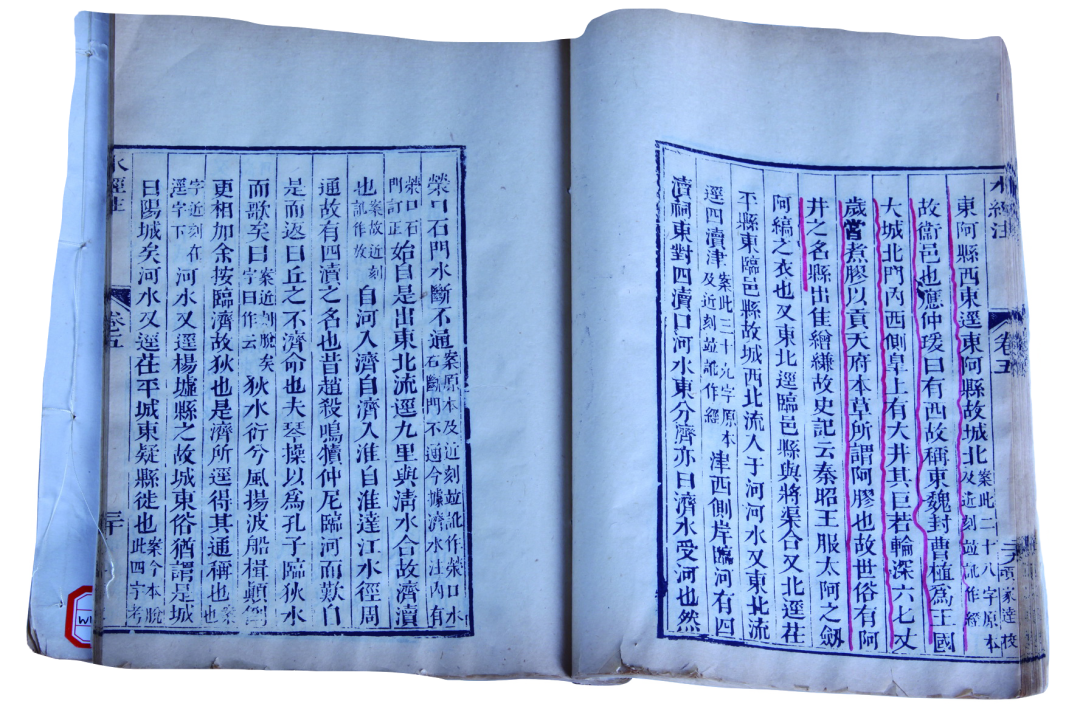 山东你为何这么多“顶流”？