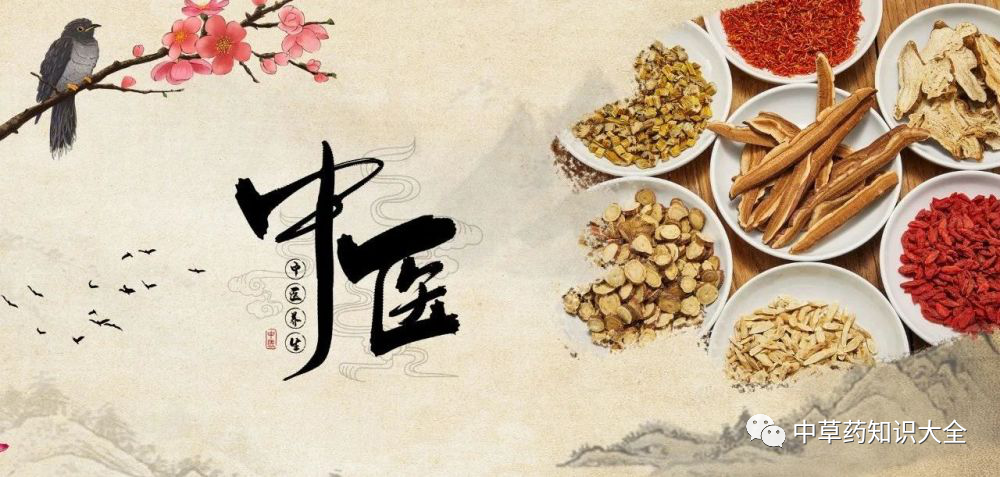 最全中药知识大汇总（强烈建议收藏）