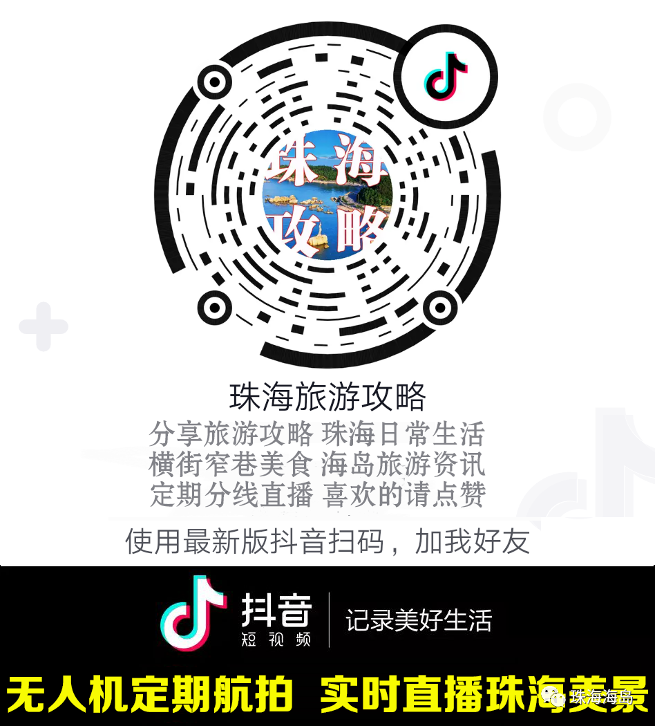 水下近距离拍到了虎鲸