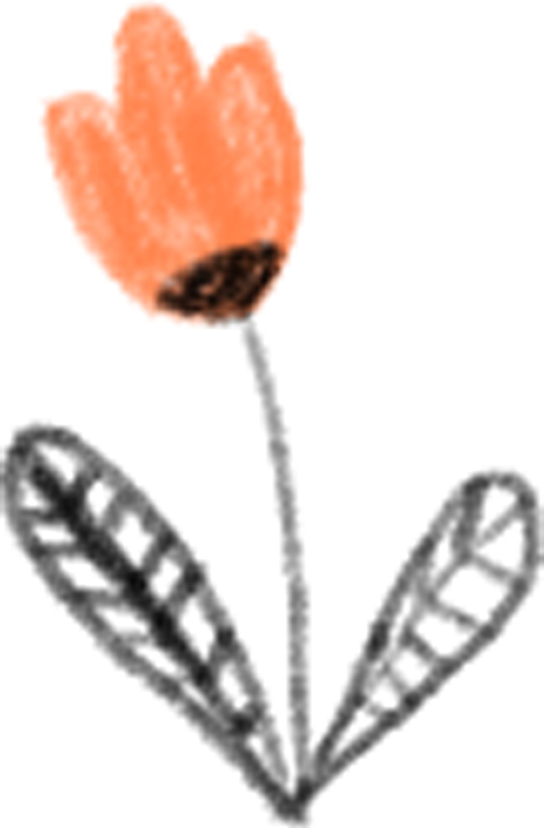 一封陌生女人的来信_一个陌生来信的女人_一个陌生女人的来信女人的性格