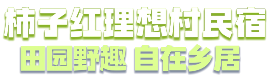 未命名的设计 (3).png