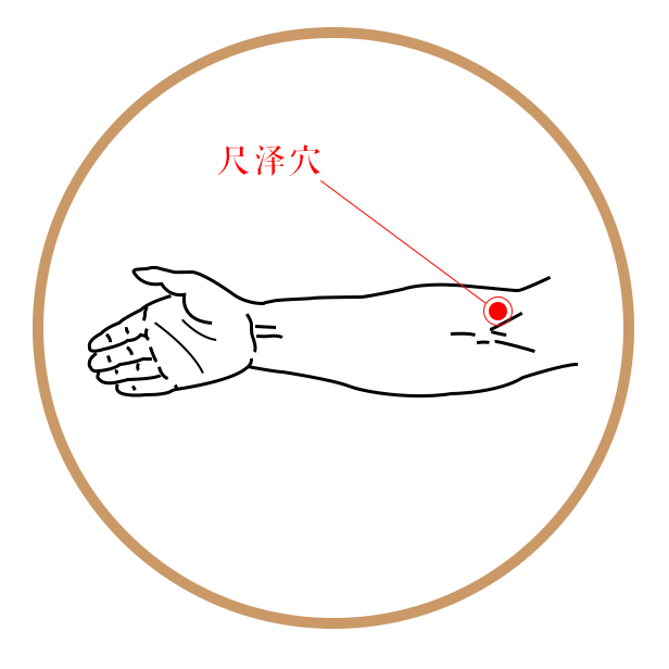人体每条经络上存在着2~3个容易堵塞的穴位,多分布在肘,膝,腕,踝关节
