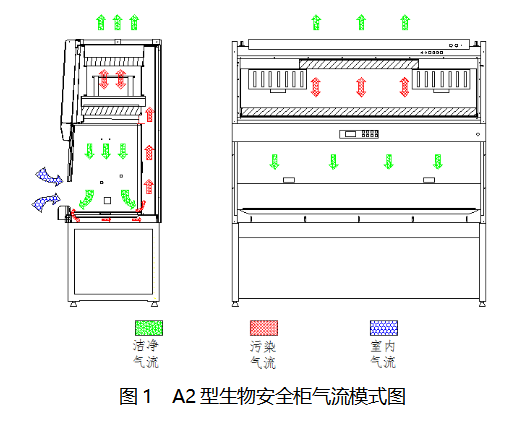 生物安全柜气流图图片