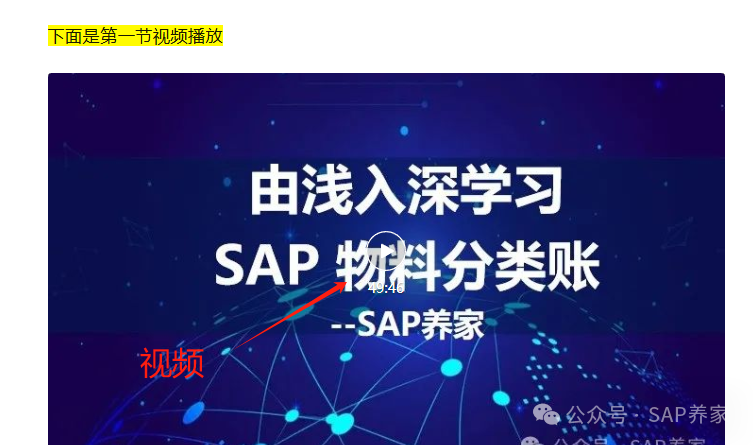 SAP 养家欢迎建议不接受批评 - 封面图