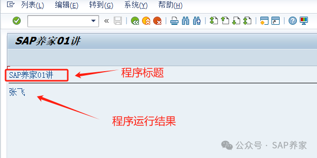 ABAP 基础初体验 - 封面图