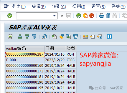 ABAPALV 报表 - 封面图
