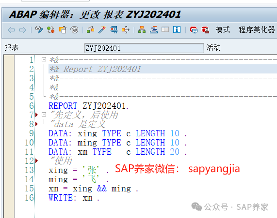 ABAP 基础初体验 - 封面图