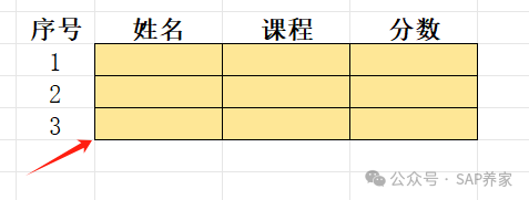 ABAPALV 报表 - 封面图