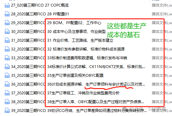 SAPFICO 模块入门幼儿园班06成本和损益类 - 封面图
