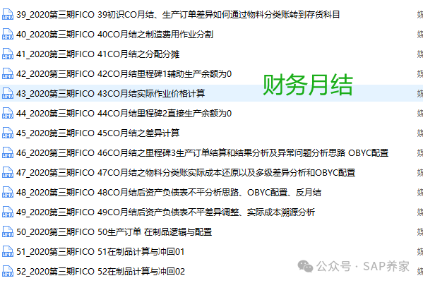 SAPFICO 模块入门幼儿园班06成本和损益类 - 封面图
