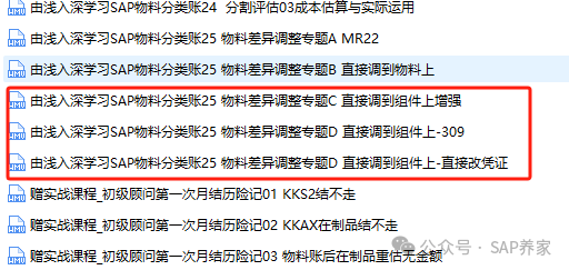 手工调整 SAP 物料账差异实战业务场景 - 封面图