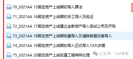 SAP 中坑人的外币评估 - 封面图