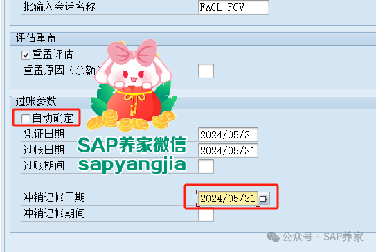 SAP 中坑人的外币评估 - 封面图