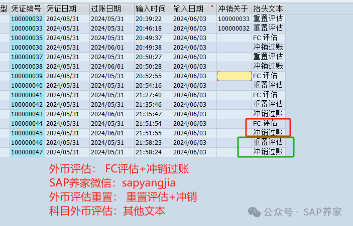 SAP 中坑人的外币评估 - 封面图