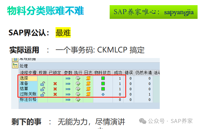 由浅入深学习 SAP 物料分类账_概览 - 封面图