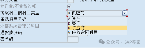 FICO 基础_统驭科目 - 封面图