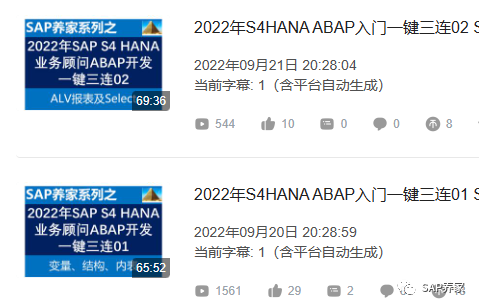 SAP 养家用辣条理解 ABAP 中循环问题 - 封面图