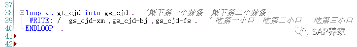 SAP 养家用辣条理解 ABAP 中循环问题 - 封面图