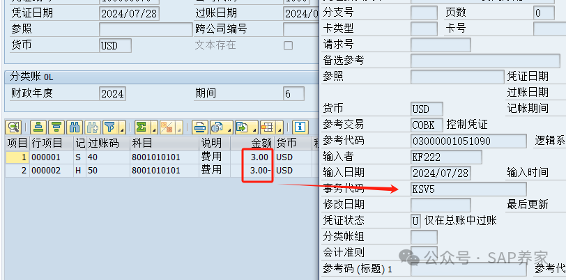SAP 中 CO 凭证为何不生产 FI 凭证 - 封面图