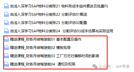 SAP 中财务月结驾驶舱是什么 - 封面图