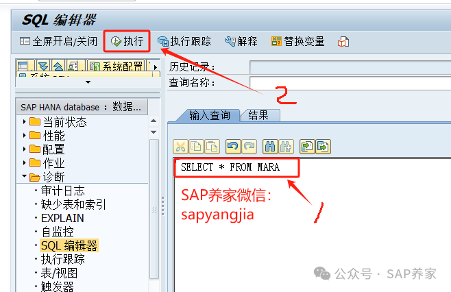 教你一个 SAP 查询提升1万倍的方法 - 封面图