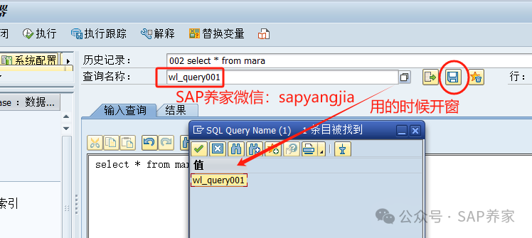 教你一个 SAP 查询提升1万倍的方法 - 封面图