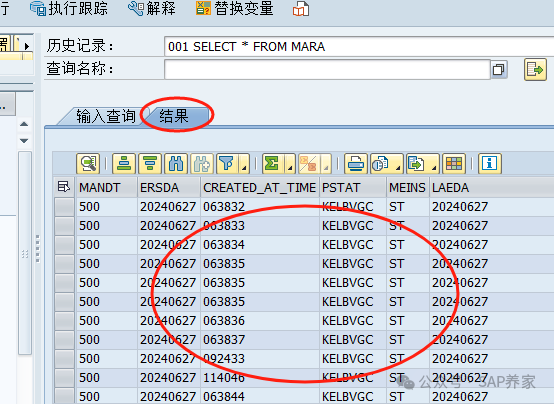 教你一个 SAP 查询提升1万倍的方法 - 封面图