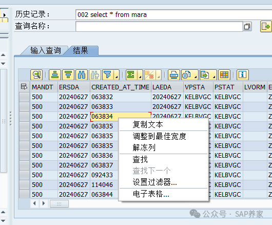 教你一个 SAP 查询提升1万倍的方法 - 封面图