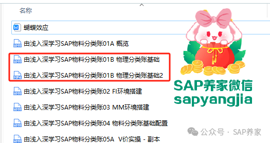 SAP 中原材料到底用 S 价还是 V 价 - 封面图