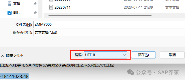 SAP 批导 LSMW 读取数据为什么是乱码 - 封面图