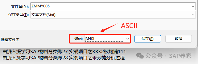 SAP 批导 LSMW 读取数据为什么是乱码 - 封面图