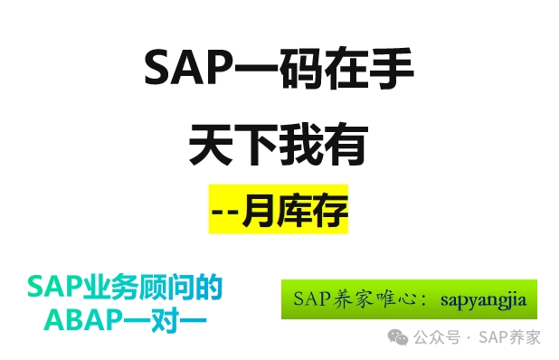 SAP 一码在手天下我有之月库存 - 封面图