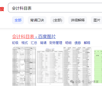 FICO 基础_会计科目 - 封面图
