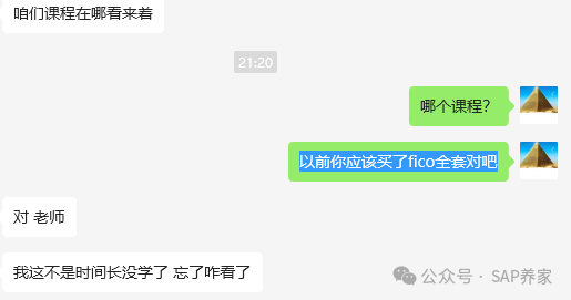 SAP 春节期间免费学 FICO 了 - 封面图