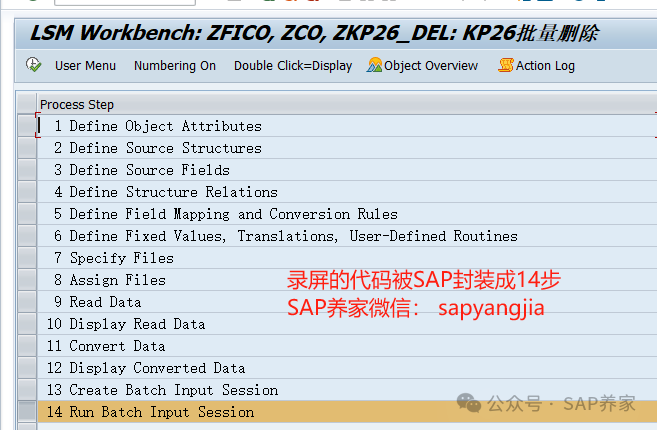 SAP 中 SHDB 和 LSMW 的区别 - 封面图