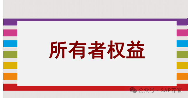SAPFICO 模块入门幼儿园班05共同类和所有者权益类 - 封面图