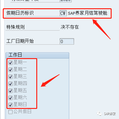 SAP 工厂日历引发的财务月结驾驶舱风波 - 封面图